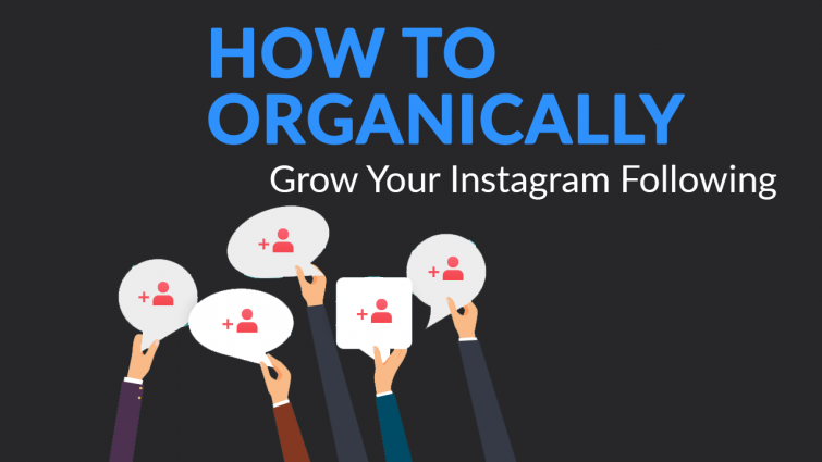 insider secrets how to organically grow your instagram - how to grow your instagram following with fan accounts